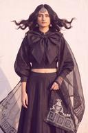 Black raw silk crop lehenga with an oversized bow top and sheer dupatta with embroidered border, front view