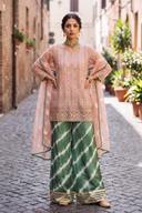 Blush Mirror Work Shirt with Green Tie Dye Izzar, full length front view