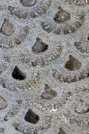 Silver mirror cutwork shirt, close up of the sequin rimmed scallop cutouts